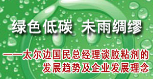 绿色低碳 未雨绸缪——太尔边国民总经理谈胶粘剂的发展趋势及企业发展理念