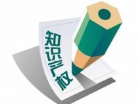 国务院：有效遏制侵权假冒高发多发势头