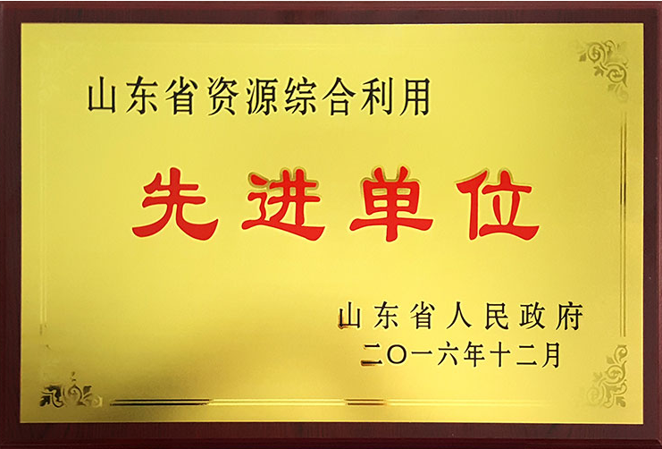 圣泉集团喜获“山东省资源综合利用先进单位”荣誉称号