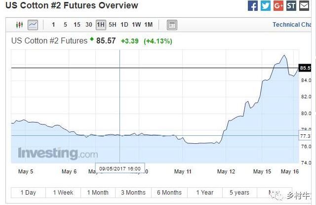 涂附磨具上游：三天暴涨10% 棉花期货凭什么涨这么猛？