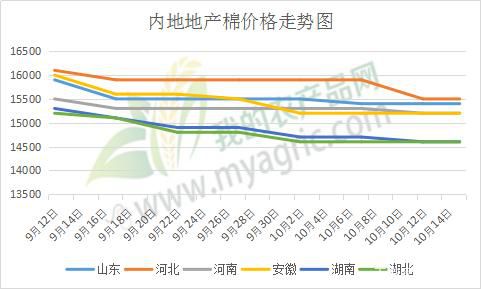 棉花市场低迷 轧花厂转机何时到来？