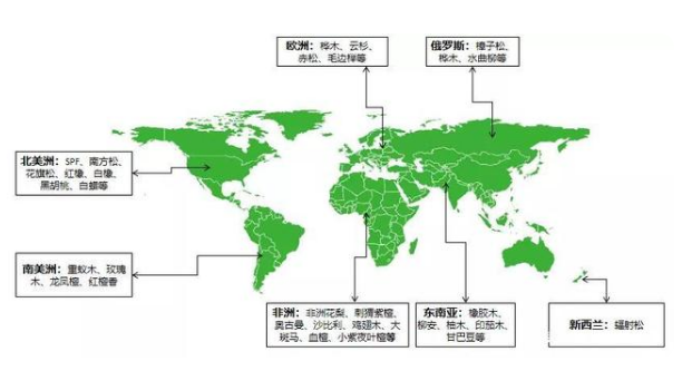 中国木材主要来源国现状