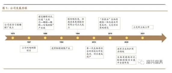 圣泉集團研究報告：酚醛樹脂行業(yè)龍頭，生物質化工打開成長空間