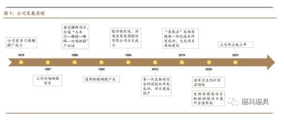 圣泉集团研究报告：酚醛树脂行业龙头，生物质化工打开成长空间